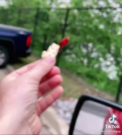 Feeding an Angel