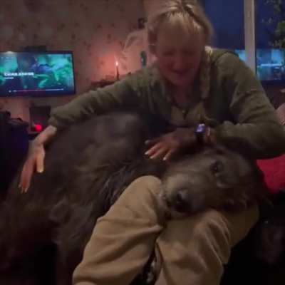 Big dog is still just a little puppy.. 😊