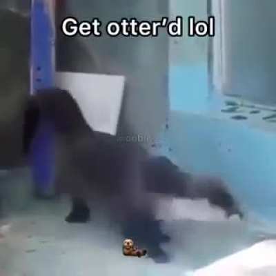 Lol