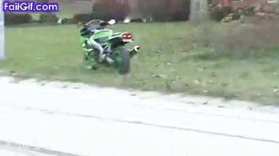 Stupidity has many faces