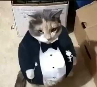 Chunker with drip😳