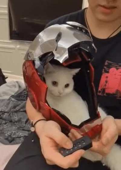 Iron-мяу