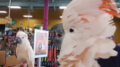 AAAAAAAAAAA