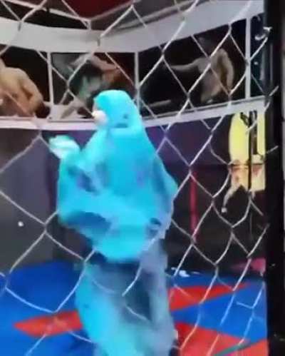 When you do hijab but also lowjab, hook, and uppercut