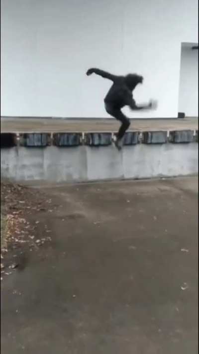 That dude jumped like crack in the '80s.