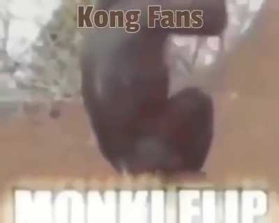 Monke
