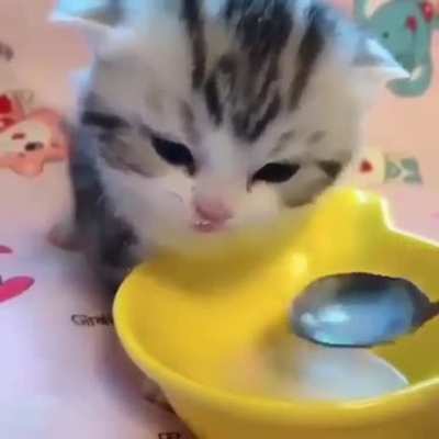 He's very thirsty