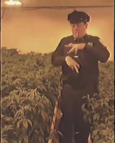 Bu amına koduğumun hayatı dans etmek için var ✨