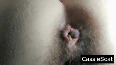 Executrix Ends you with Her Ass (Toilet Slave POV) [GIF]