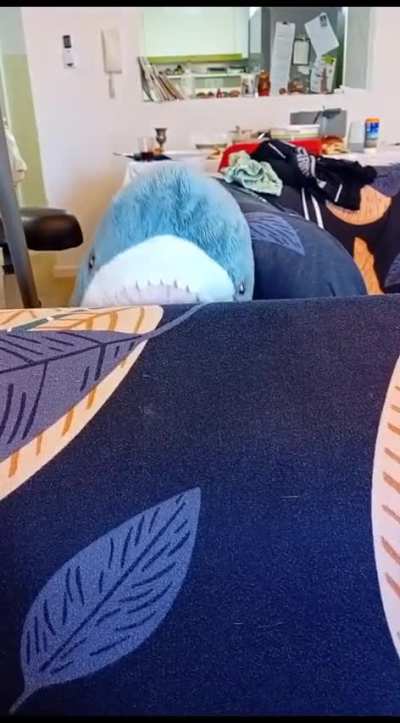 Shonk snek attac