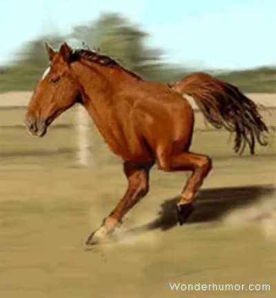 Blursed___horse