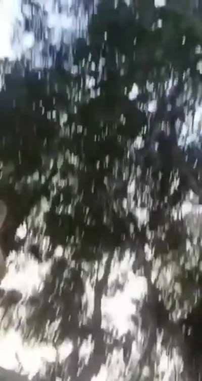 KIA and PDF combined forces facing air strike after capturing Junta Base. 