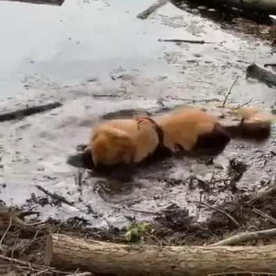 AAAAH-