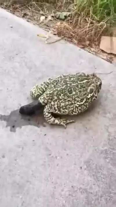 Когда хорошо поел