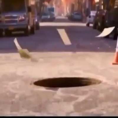 Sus