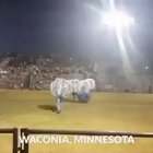 Let's play football