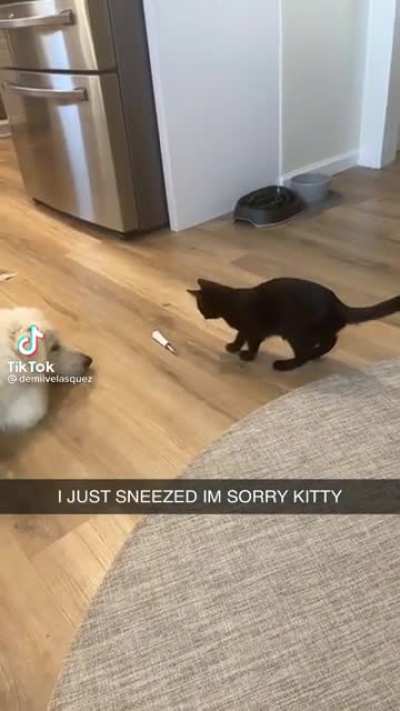 Sneeze