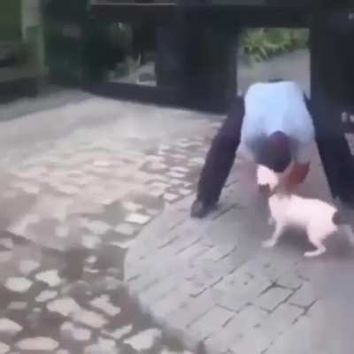 Dogo.exe