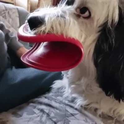 Frisbee lips