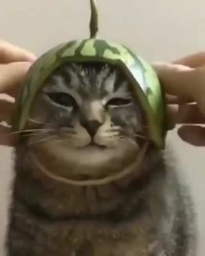 Coming for you cocomelon