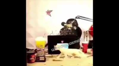 Só vejam isso .