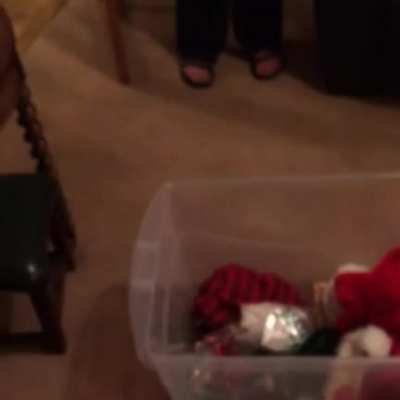 Stowaway in the Christmas decoration box