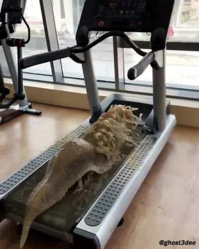 oh