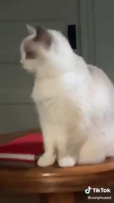 oh--
