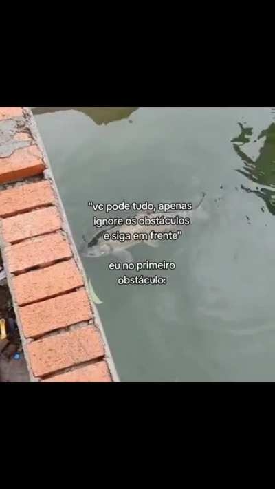 eu_nvr