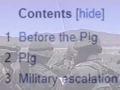 moldy pig