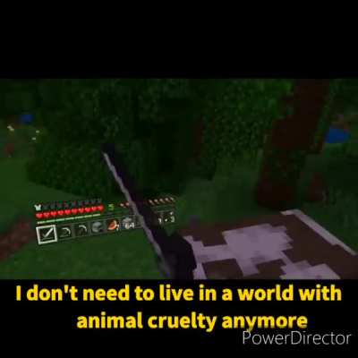 Animal cruelty is no more