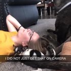 Does this count?