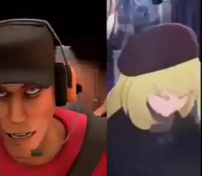Scout