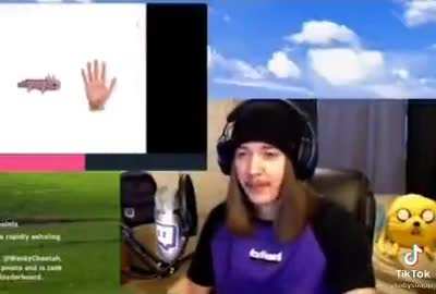 pet him