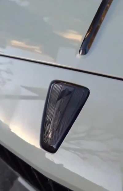 Luxury car security feature