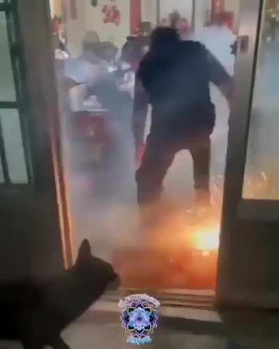 Pyromaniac dog