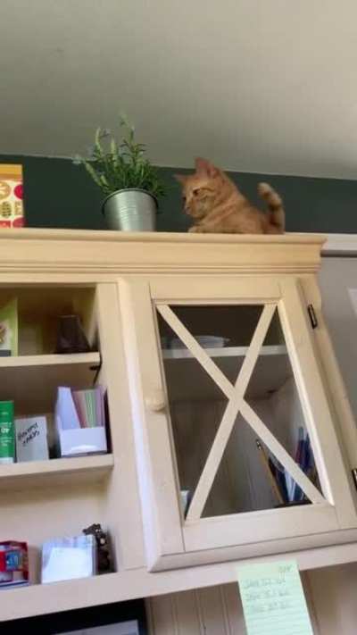 You want something to record?