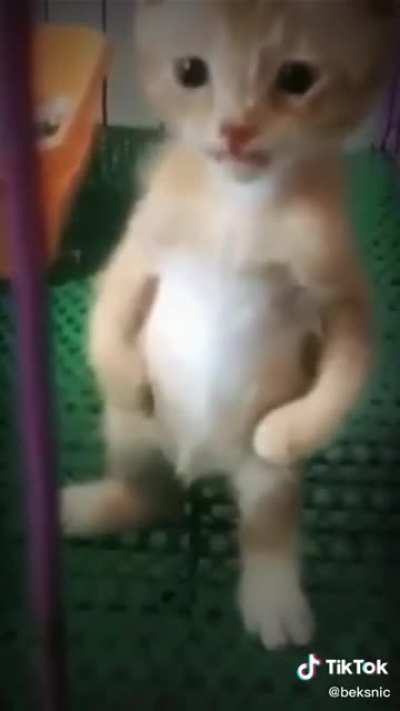 m̵̡̝̥̳̯̝̓̂͛͂̑̎̏̕ȋ̸̤̰͌͆c̸̺̈́͒̈́̈́̍̂͐̊̍́̐́̀̂͝h̶͉̥̜͈͇͇̦̽͋̆͗̓͌̑̕̚a̴̛͉̩̝͍̣͇̍̎̀͋̈́̀̾͂͐̽̓é̸͖̯̫̞͇̙̊̓͌̋̂̒͝l̴̡̹̩̟̠̞̻͑̇̿̊̅