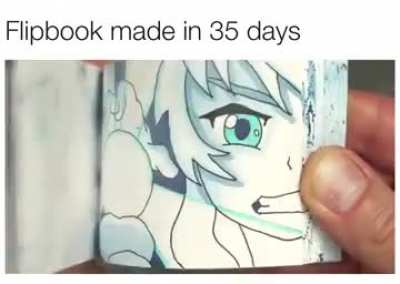 Neat flip book
