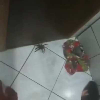 Morreu