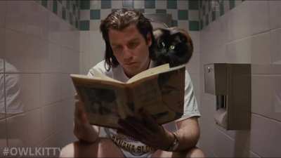 Purrfiction