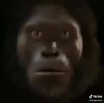 Thanks I hate, monke