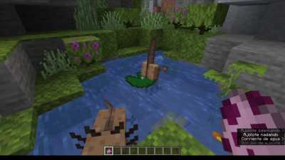 Ah yes, the Minecraft snapshot experience (pls don't fix this bug, it's kinda cute)
