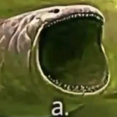 a