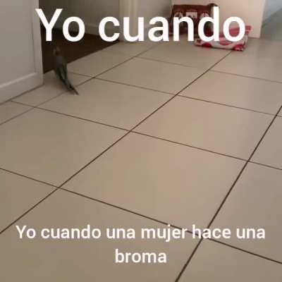 Buscando el chiste
