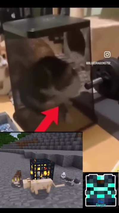 spanwer
