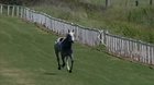 HMFT after I get OBLITERATED by this Race Horse