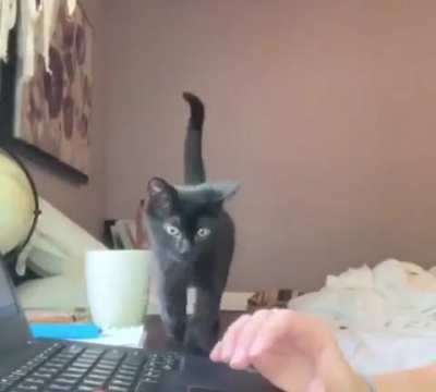 Работаем из дома