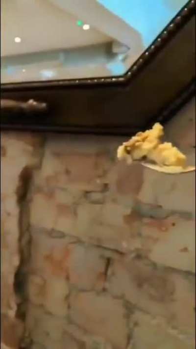 To do the 