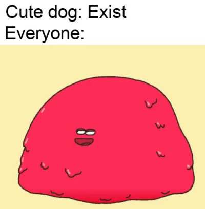 Dogs are best